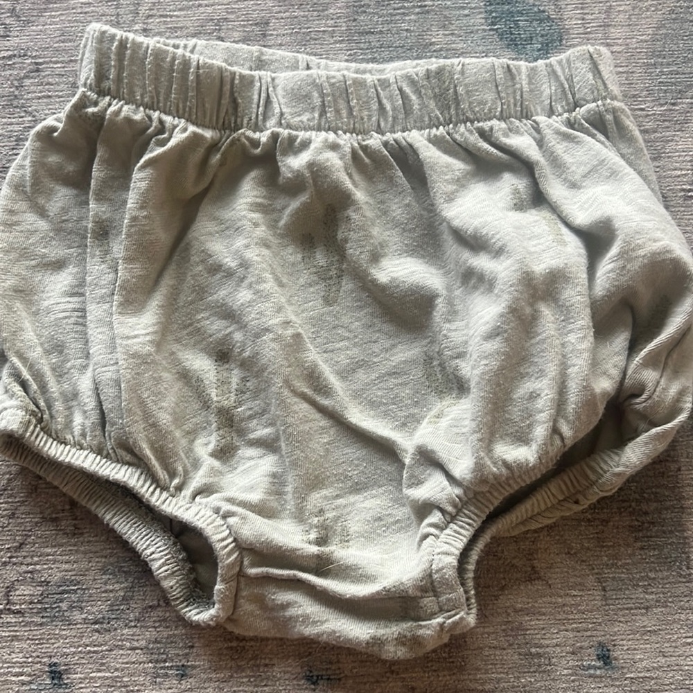Rylee+Cru cactus bloomers